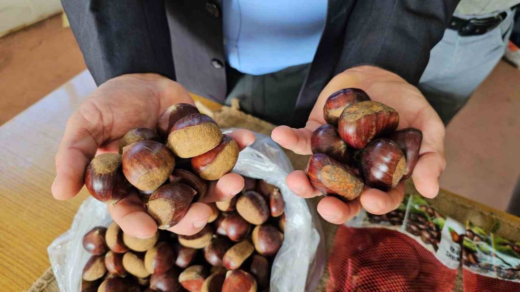 Pişince köpürüyorsa sakın yemeyin! Gerçek kestane nasıl anlaşılır? 5